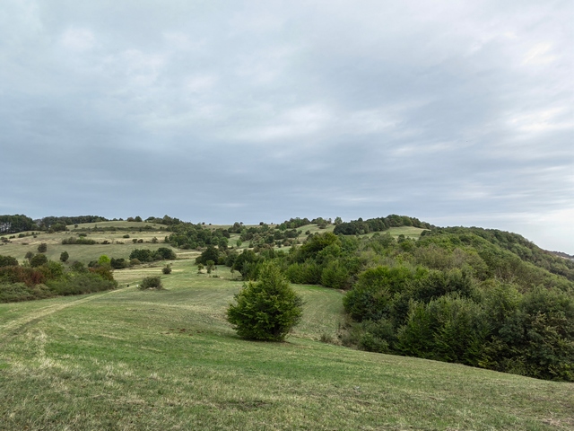 ТУРА АВАНТУРА НА РАЈЦУ